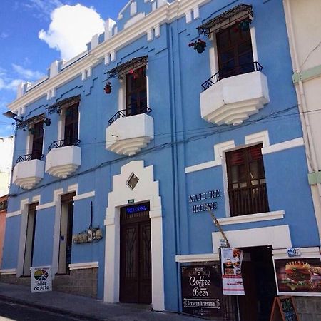Guesthouse Nelson كويتو الغرفة الصورة